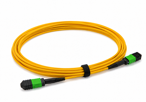 F2601 Low Loss 12F MPO/APC Female-12F MPO/APC Female SMF Type B 12F Yellow OFNP Patch Cord